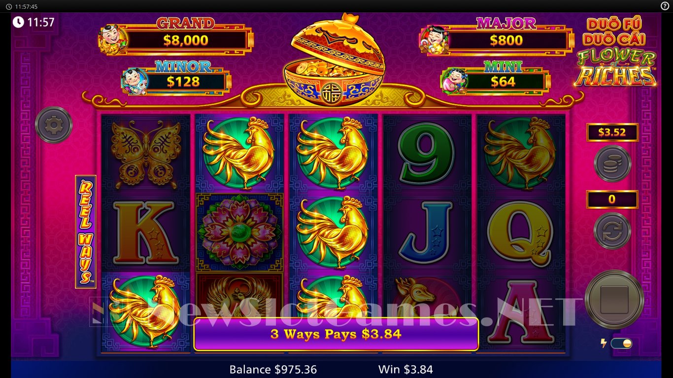 Duo Fu Duo Cai Flower of Riches Slot Slot Image in Demo - pic. 5