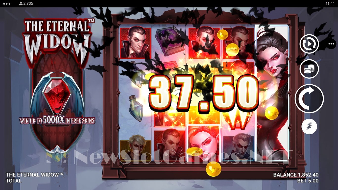 The Eternal Widow Slot Slot Image in Demo - pic. 2