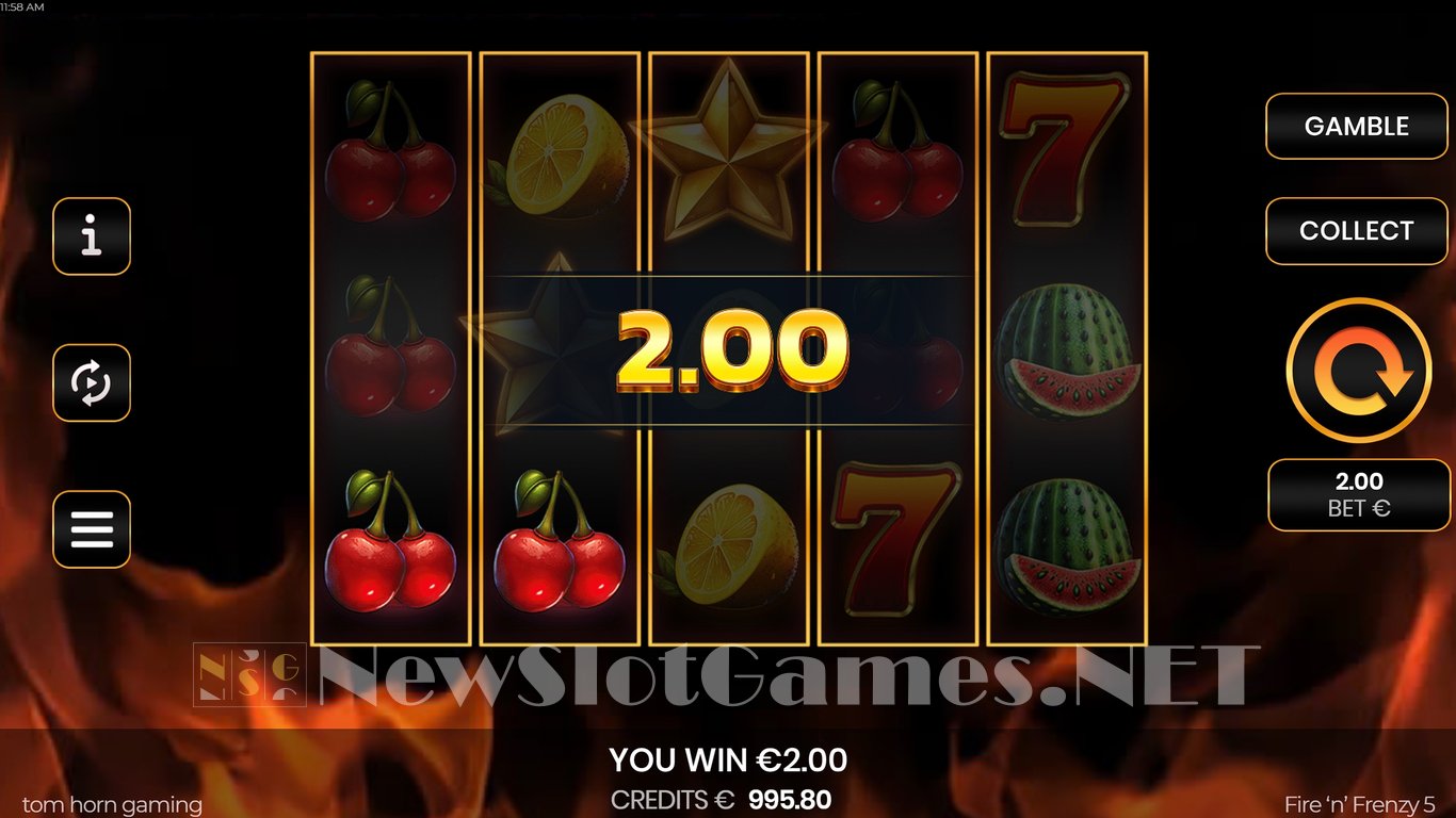 Fire n Frenzy 5 Slot Slot Image in Demo - pic. 3