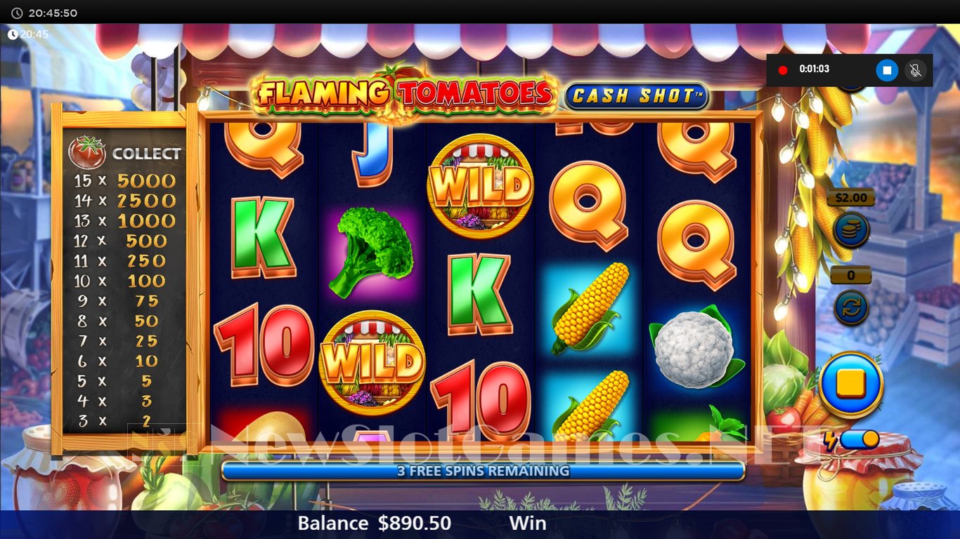 Flaming Tomatoes Cash Shot Slot Slot Image in Demo - pic. 10