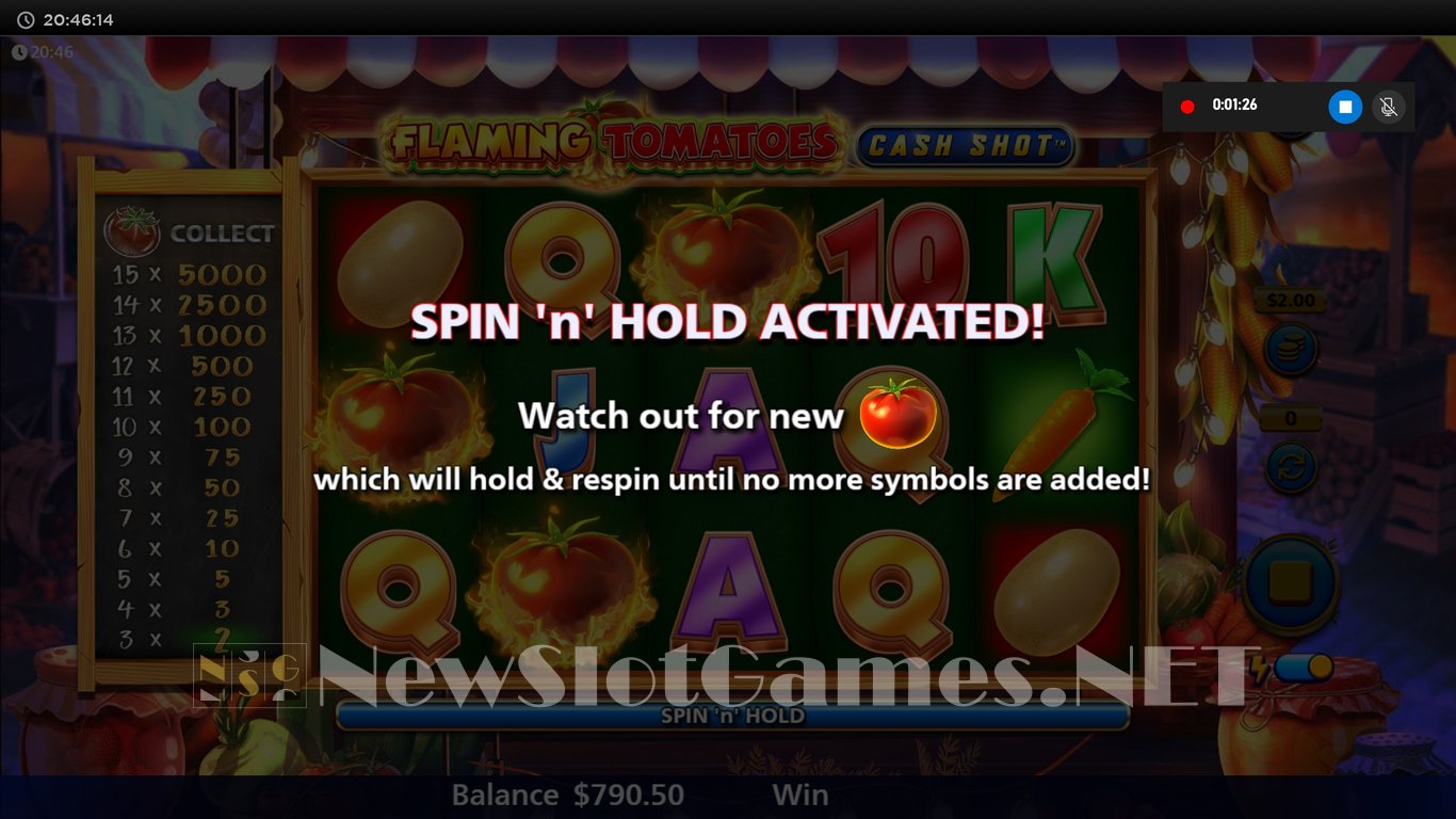 Flaming Tomatoes Cash Shot Slot Slot Image in Demo - pic. 11