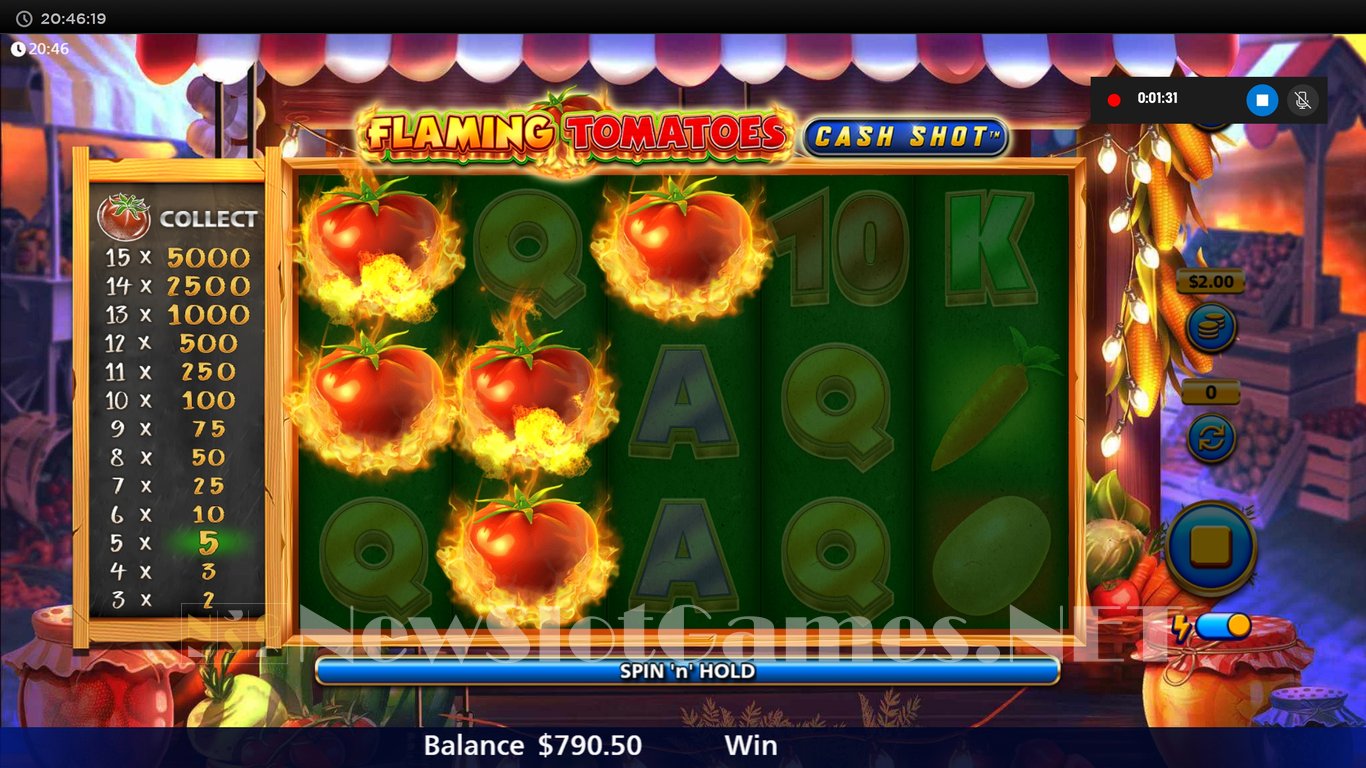 Flaming Tomatoes Cash Shot Slot Slot Image in Demo - pic. 12
