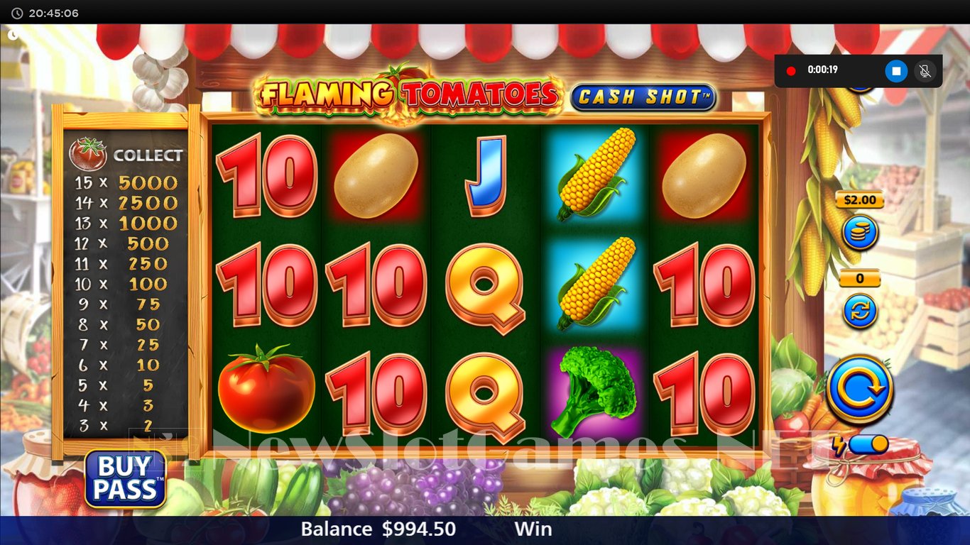 Flaming Tomatoes Cash Shot Slot Slot Image in Demo - pic. 2