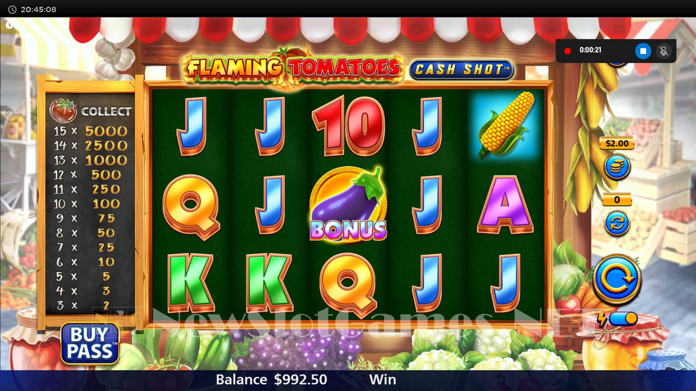 Flaming Tomatoes Cash Shot Slot Slot Image in Demo - pic. 3
