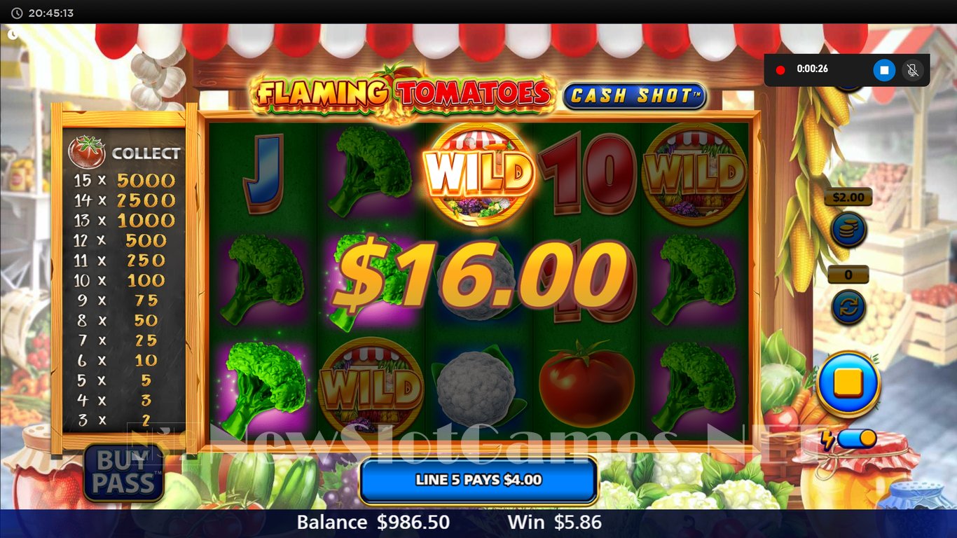 Flaming Tomatoes Cash Shot Slot Slot Image in Demo - pic. 4