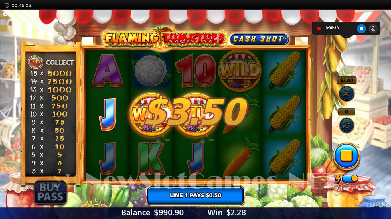 Flaming Tomatoes Cash Shot Slot Slot Image in Demo - pic. 5