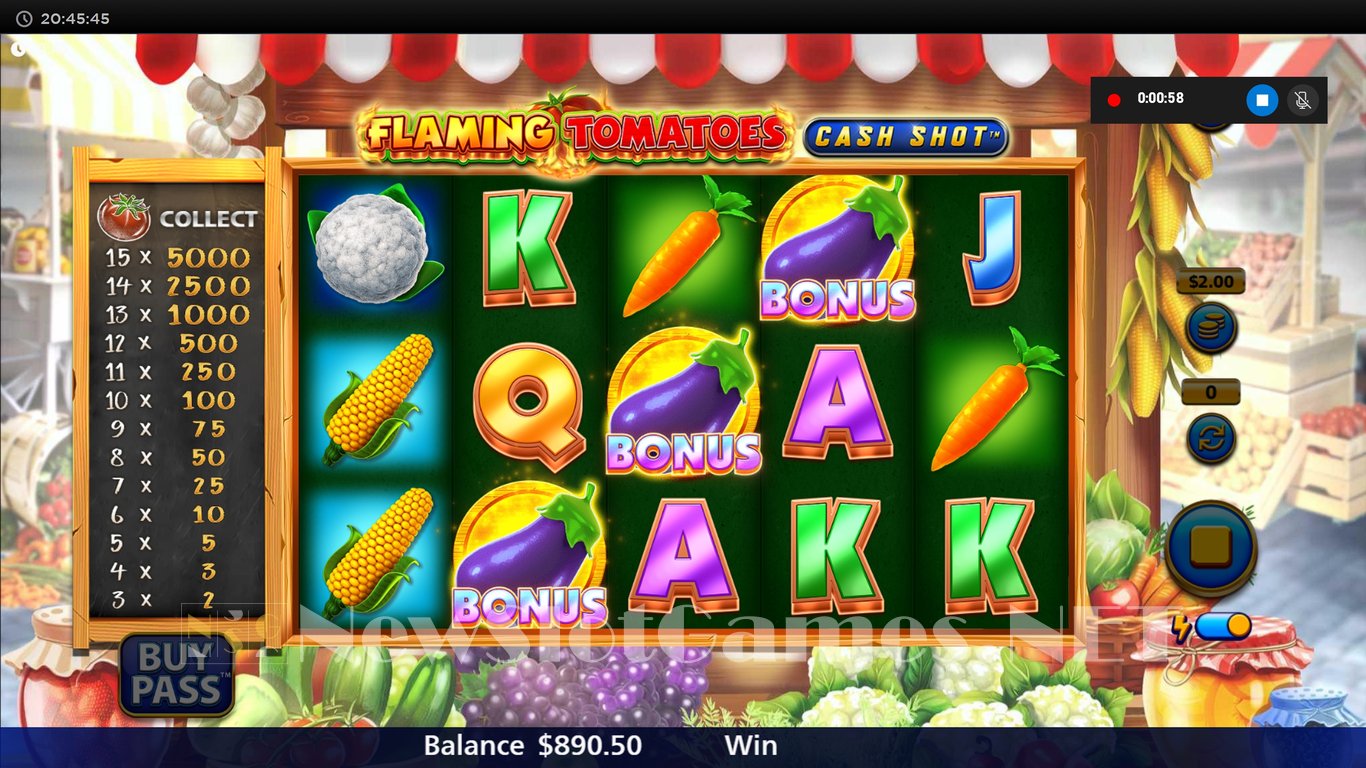 Flaming Tomatoes Cash Shot Slot Slot Image in Demo - pic. 8