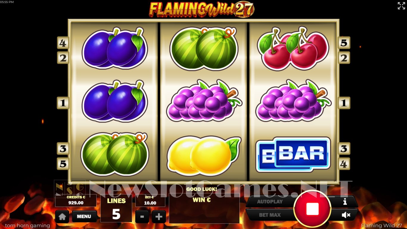 Flaming Wild 27 Slot Slot Image in Demo - pic. 2