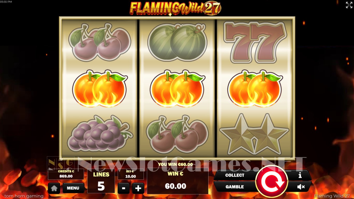 Flaming Wild 27 Slot Slot Image in Demo - pic. 3