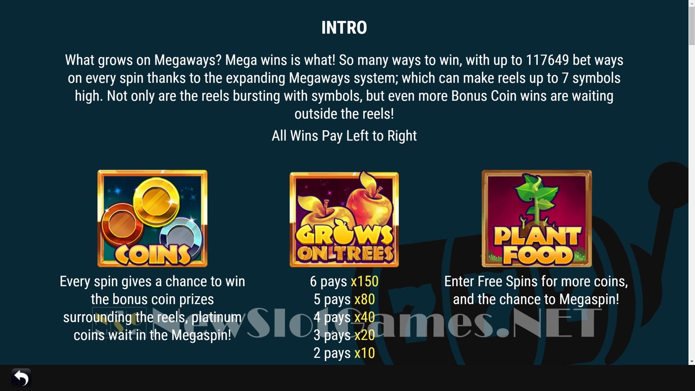 Grows On Trees Megaways Slot Slot Image in Demo - pic. 5
