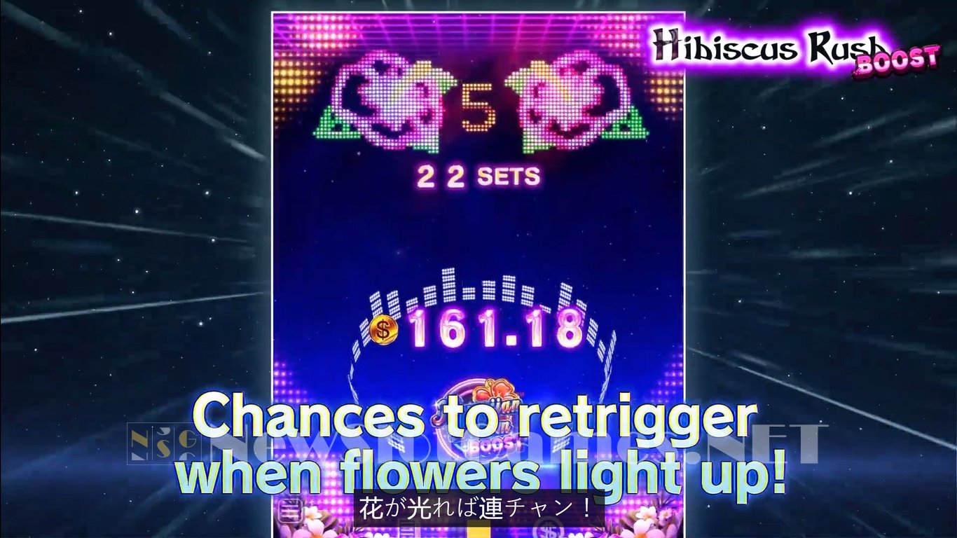 Hawaiian Dream Boost Slot Slot Image in Demo - pic. 5