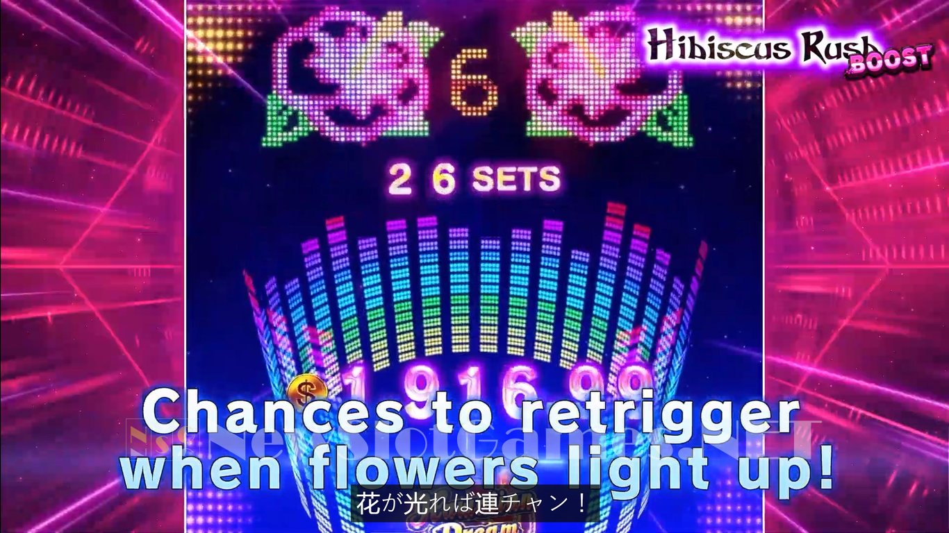 Hawaiian Dream Boost Slot Slot Image in Demo - pic. 6