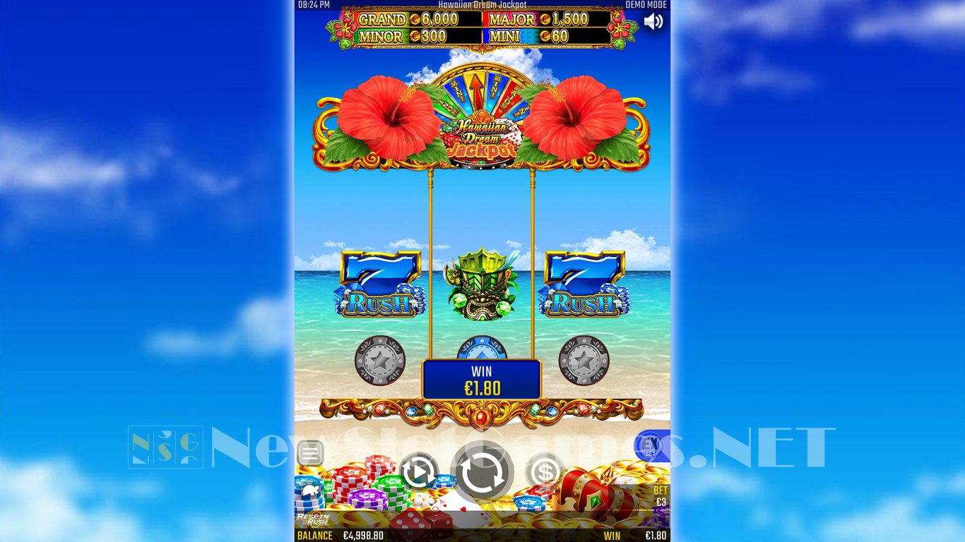 Hawaiian Dream Jackpot Slot Slot Image in Demo - pic. 2