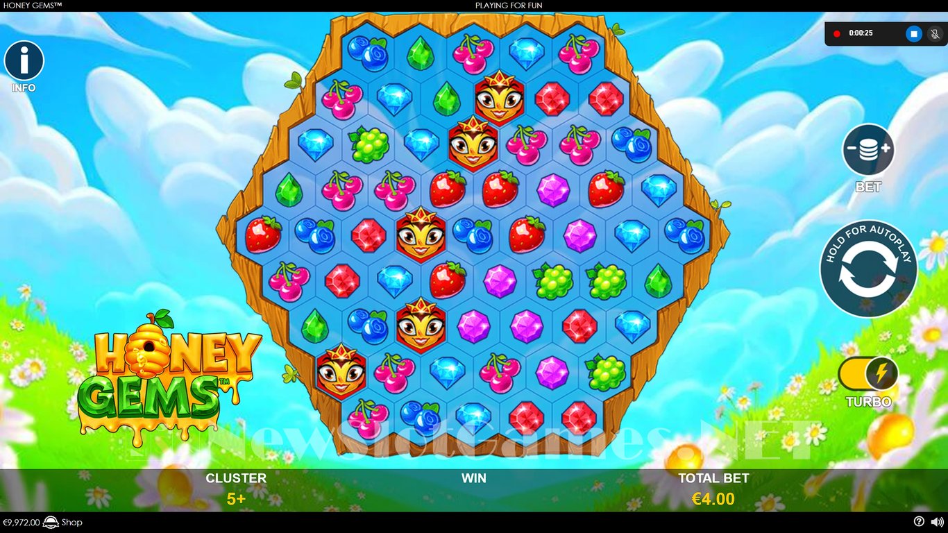 Honey Gems Slot Slot Image in Demo - pic. 5