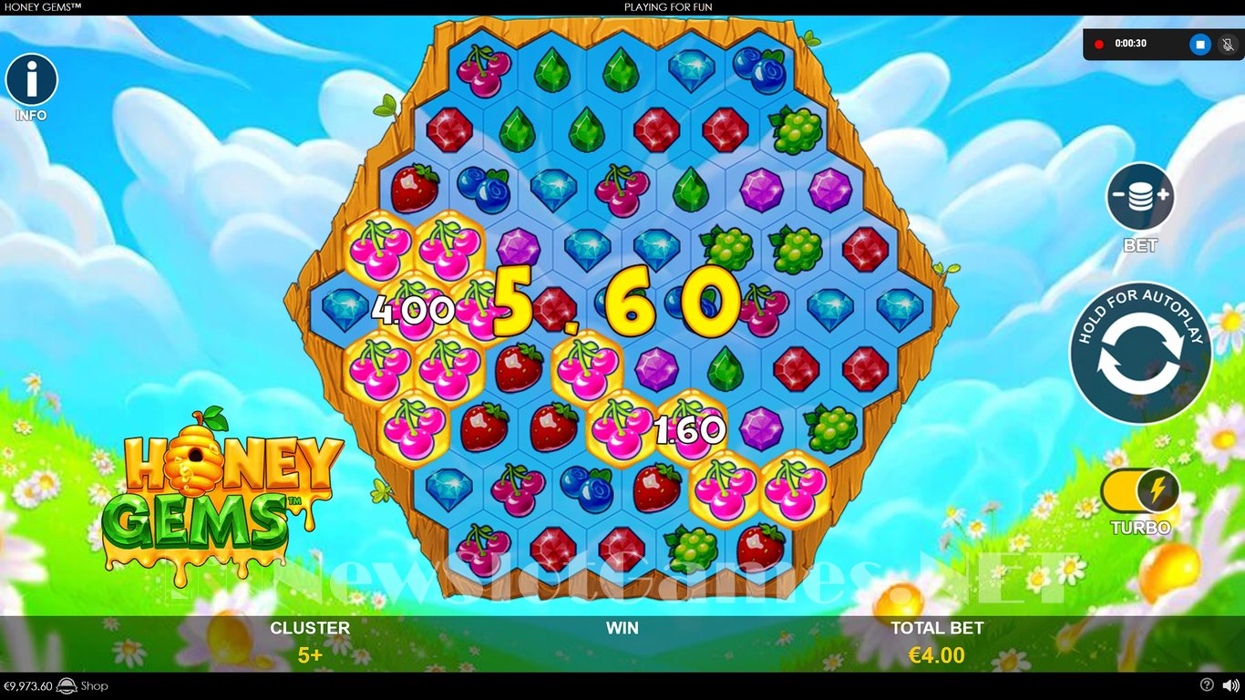 Honey Gems Slot Slot Image in Demo - pic. 6