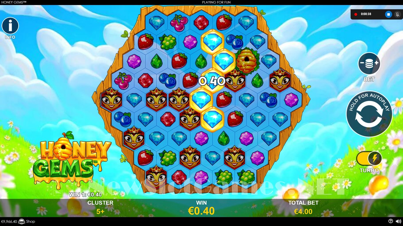 Honey Gems Slot Slot Image in Demo - pic. 7