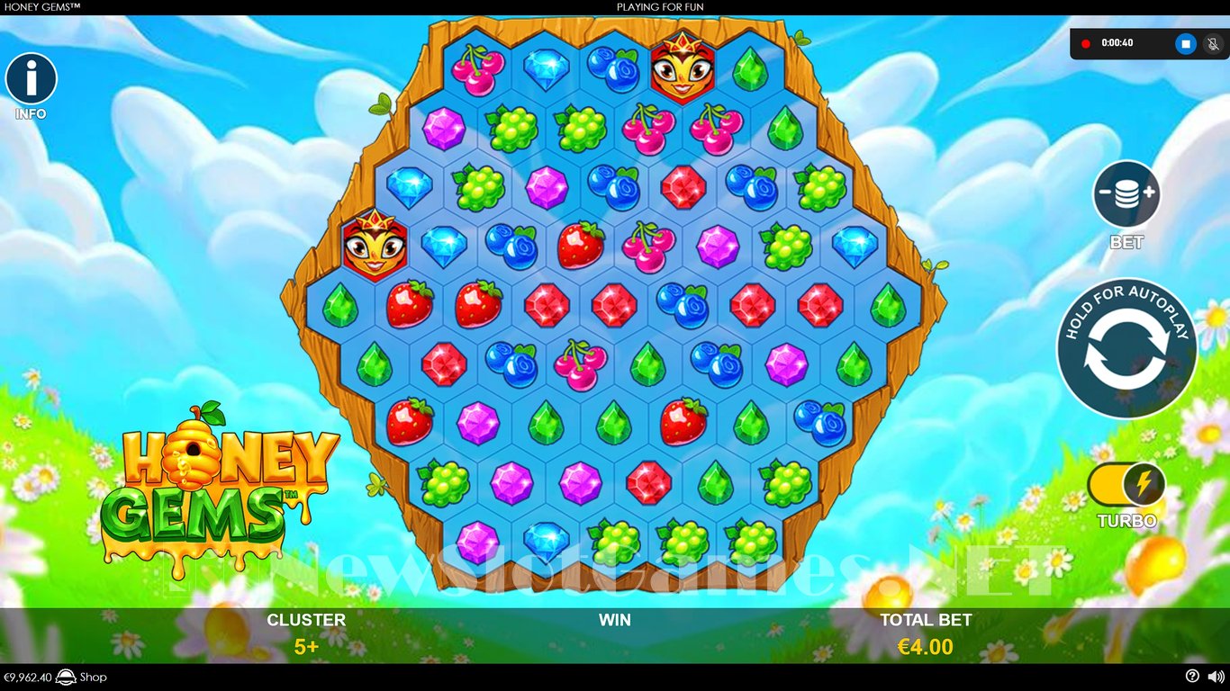 Honey Gems Slot Slot Image in Demo - pic. 8