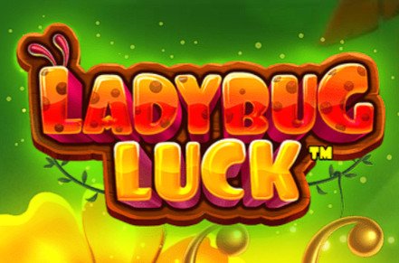 Ladybug Luck Slot Icon