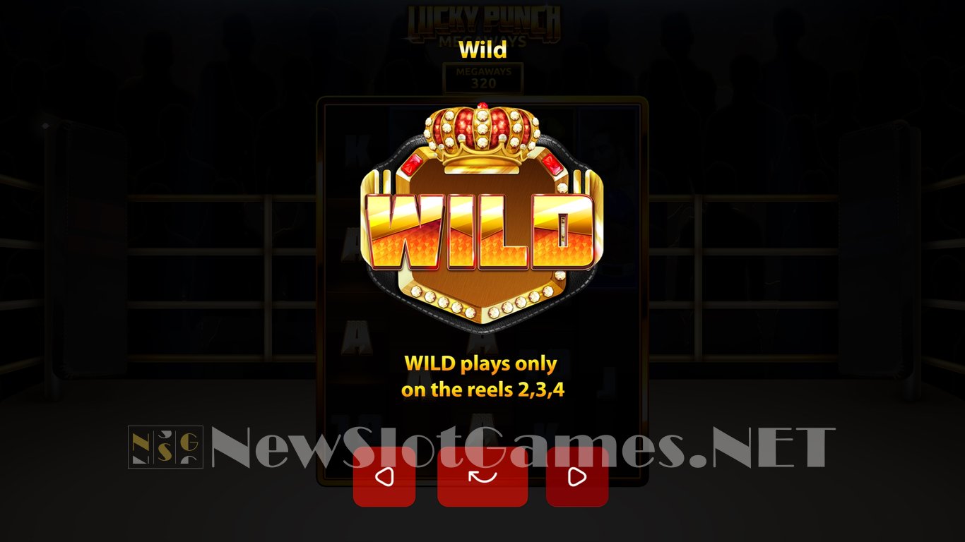 Lucky Punch Megaways Slot Slot Image in Demo - pic. 8