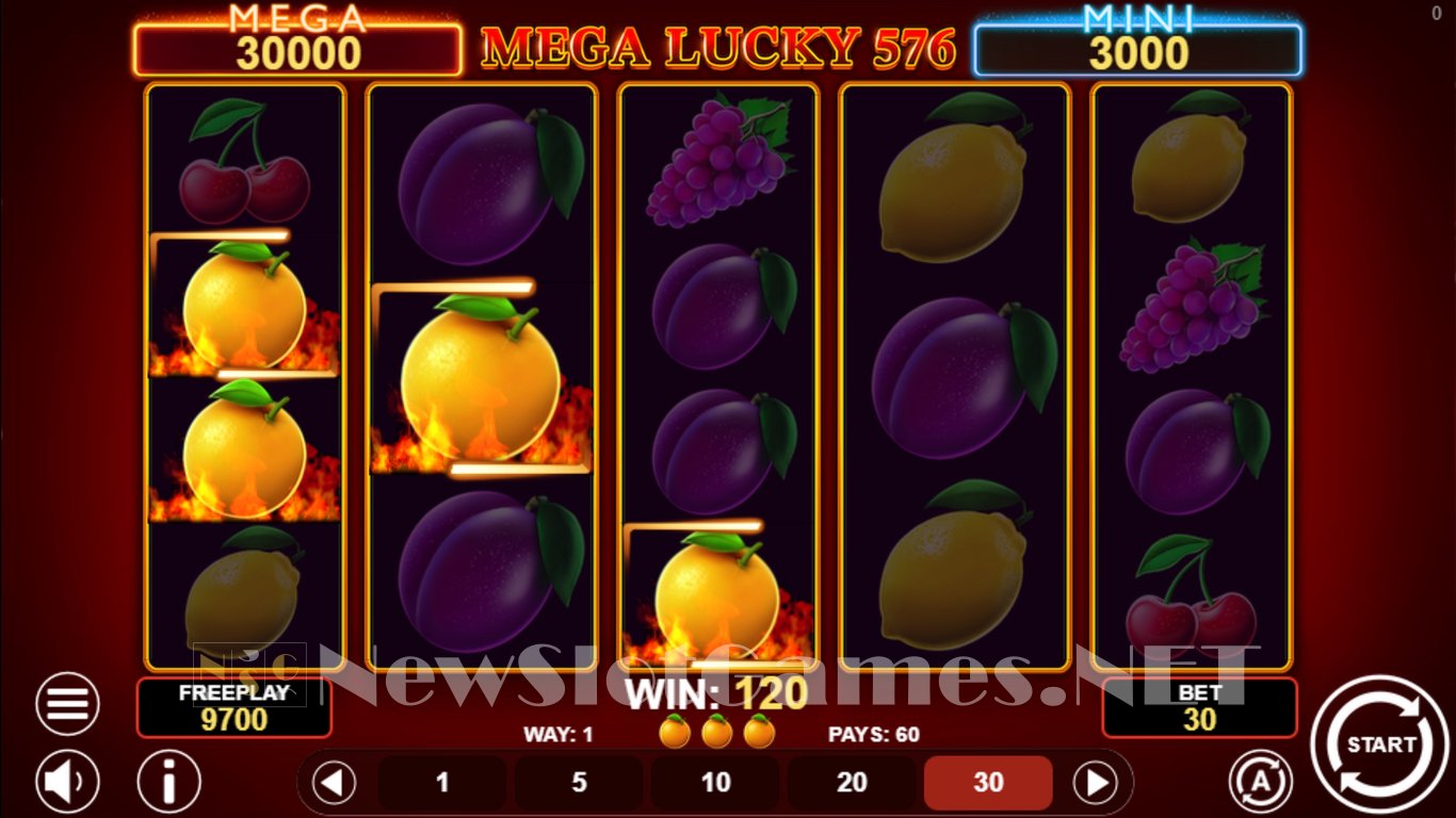 Mega Lucky 576 Slot Slot Image in Demo - pic. 10