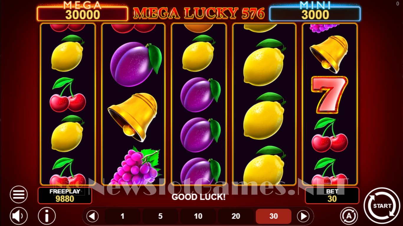 Mega Lucky 576 Slot Slot Image in Demo - pic. 3