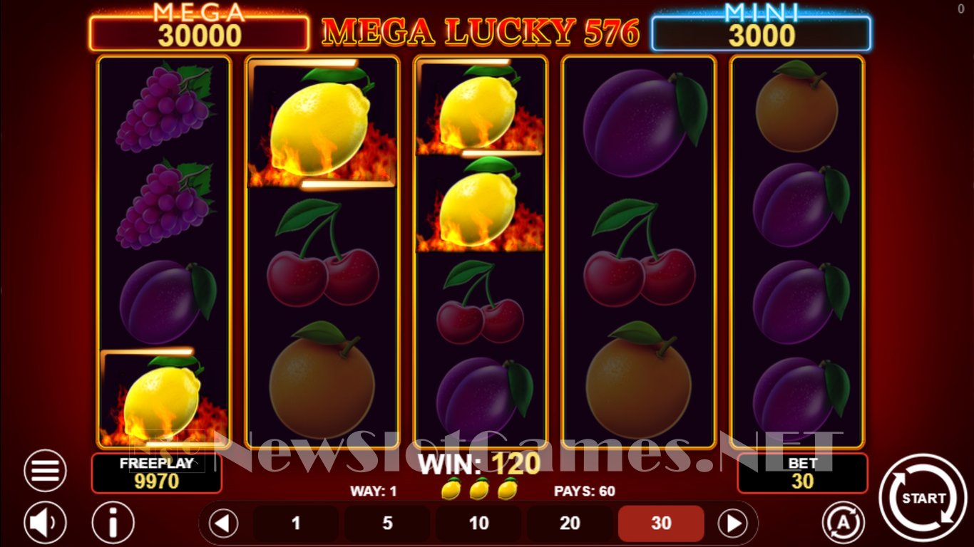 Mega Lucky 576 Slot Slot Image in Demo - pic. 4