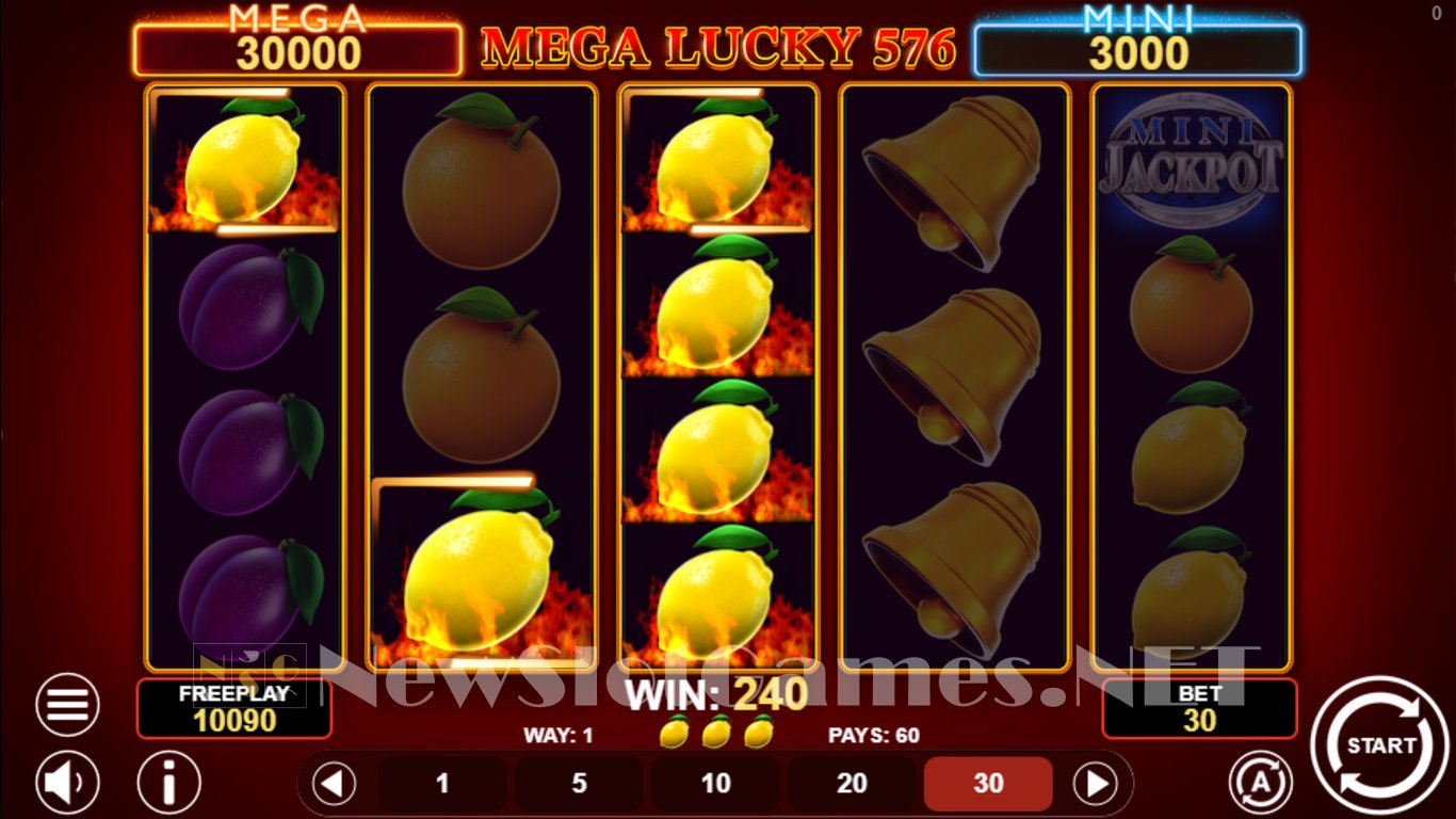 Mega Lucky 576 Slot Slot Image in Demo - pic. 5