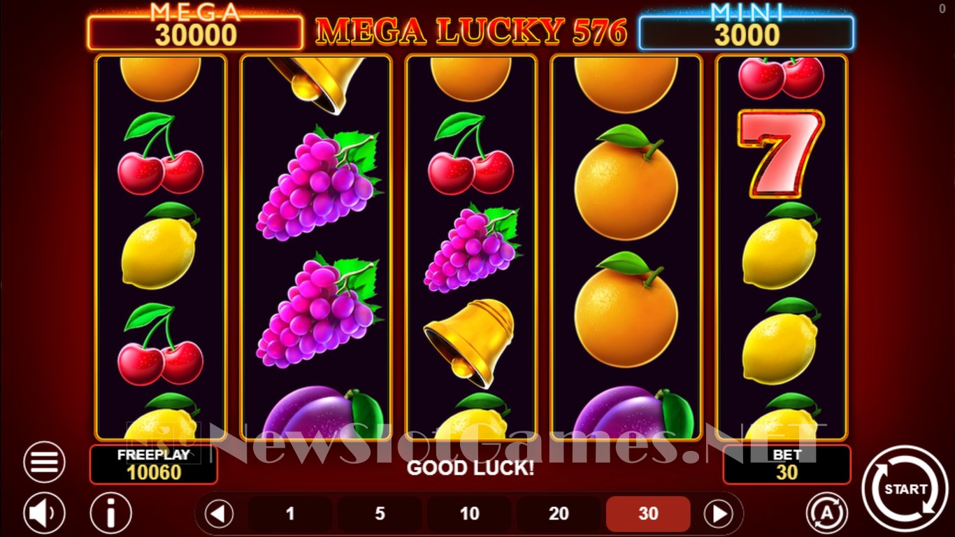 Mega Lucky 576 Slot Slot Image in Demo - pic. 9