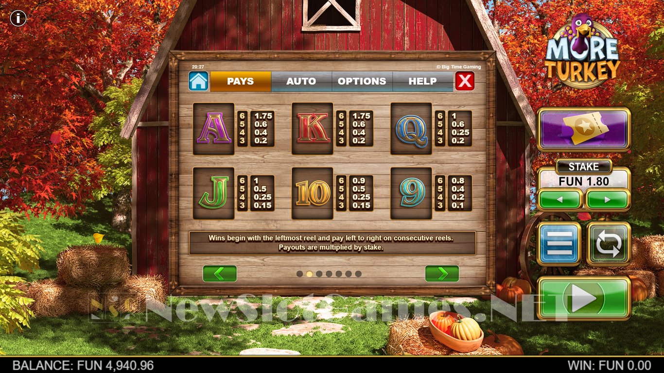 More Turkey Slot Slot Image in Demo - pic. 11