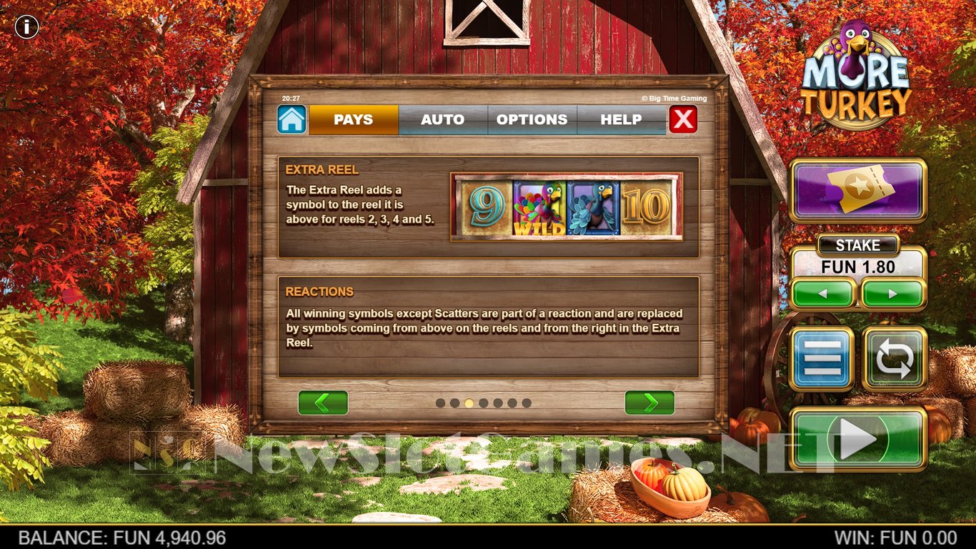 More Turkey Slot Slot Image in Demo - pic. 12