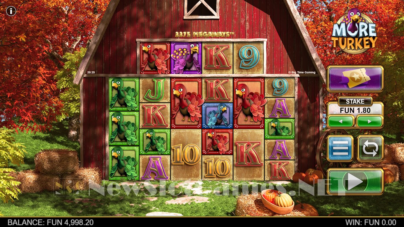 More Turkey Slot Slot Image in Demo - pic. 2