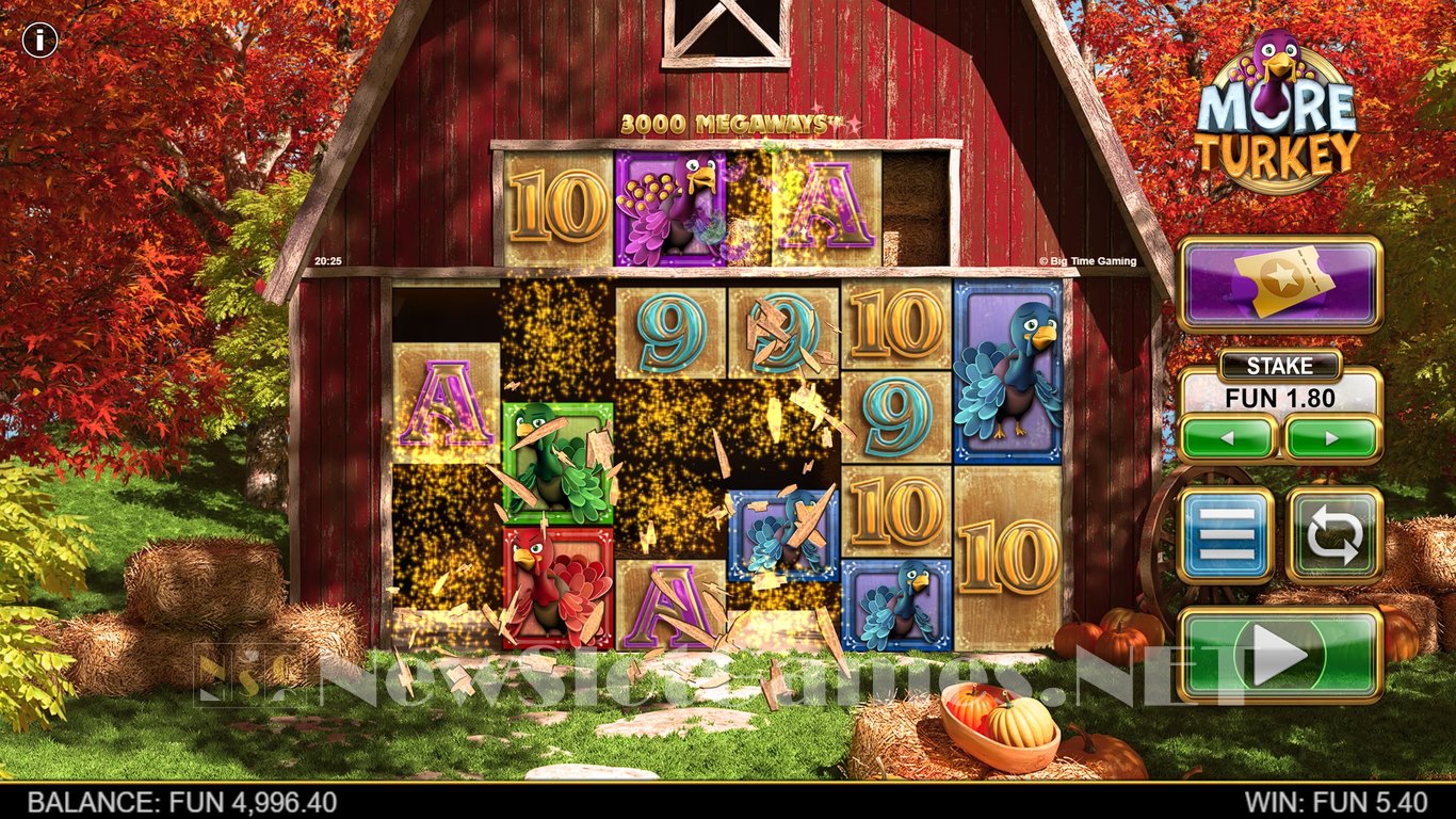 More Turkey Slot Slot Image in Demo - pic. 3