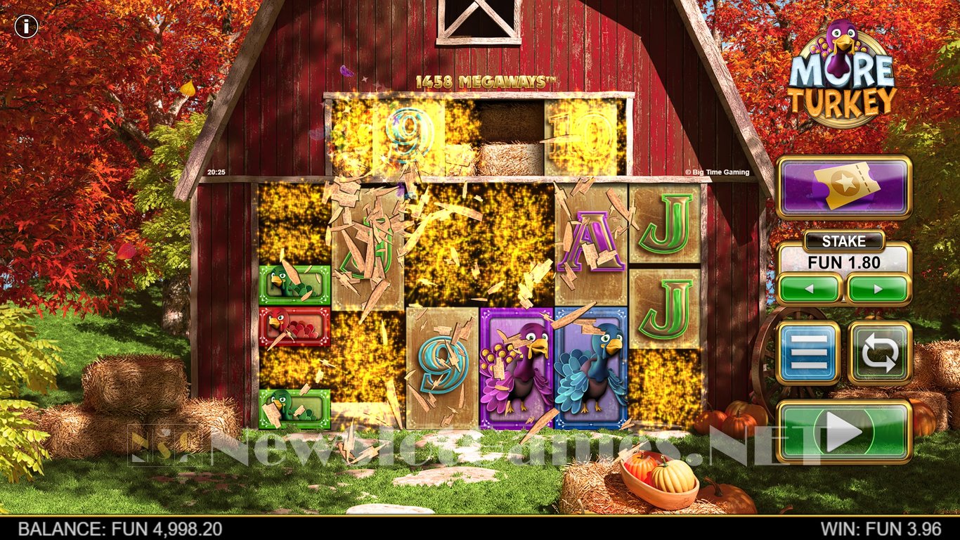 More Turkey Slot Slot Image in Demo - pic. 4