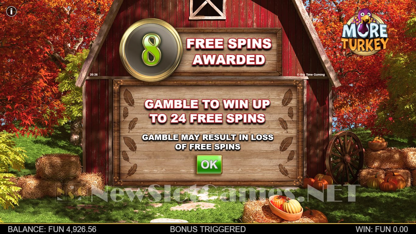 More Turkey Slot Slot Image in Demo - pic. 7