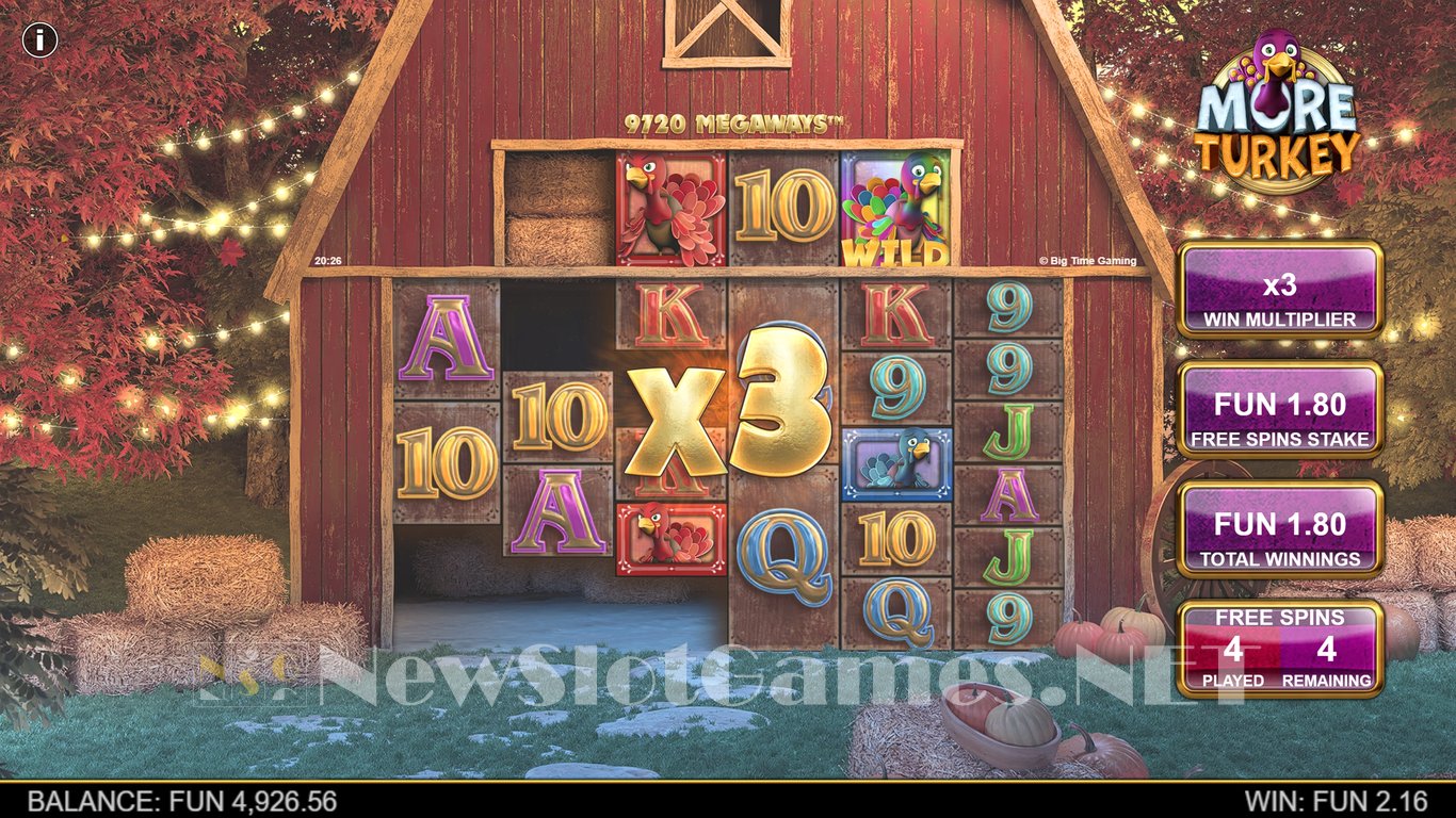 More Turkey Slot Slot Image in Demo - pic. 8