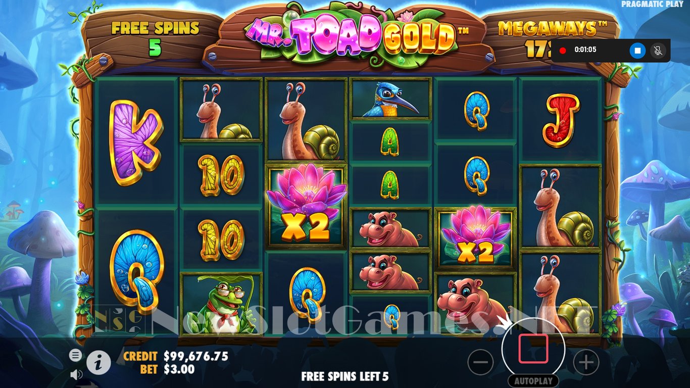 Mr Toad Gold Megaways Slot Slot Image in Demo - pic. 10