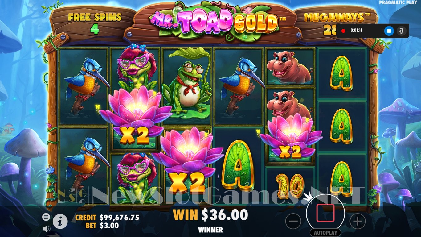 Mr Toad Gold Megaways Slot Slot Image in Demo - pic. 11