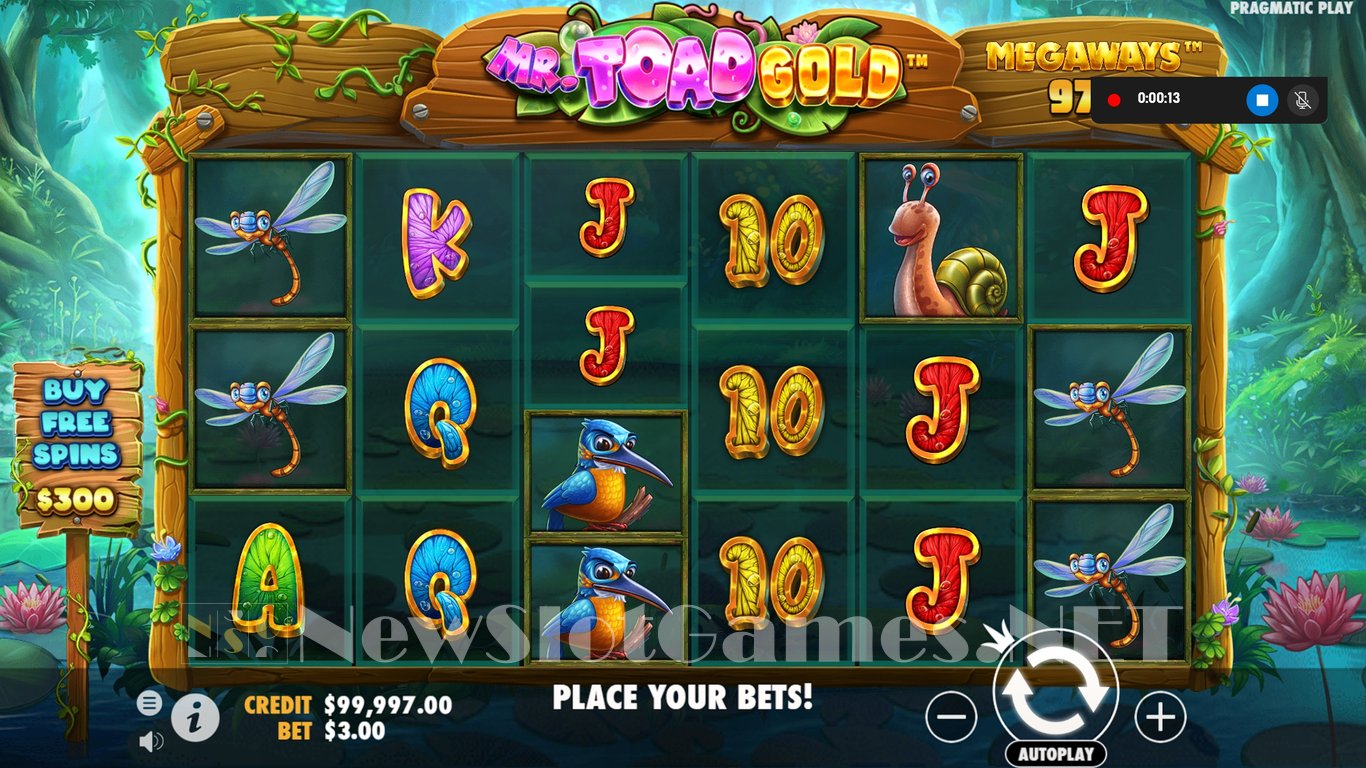 Mr Toad Gold Megaways Slot Slot Image in Demo - pic. 2