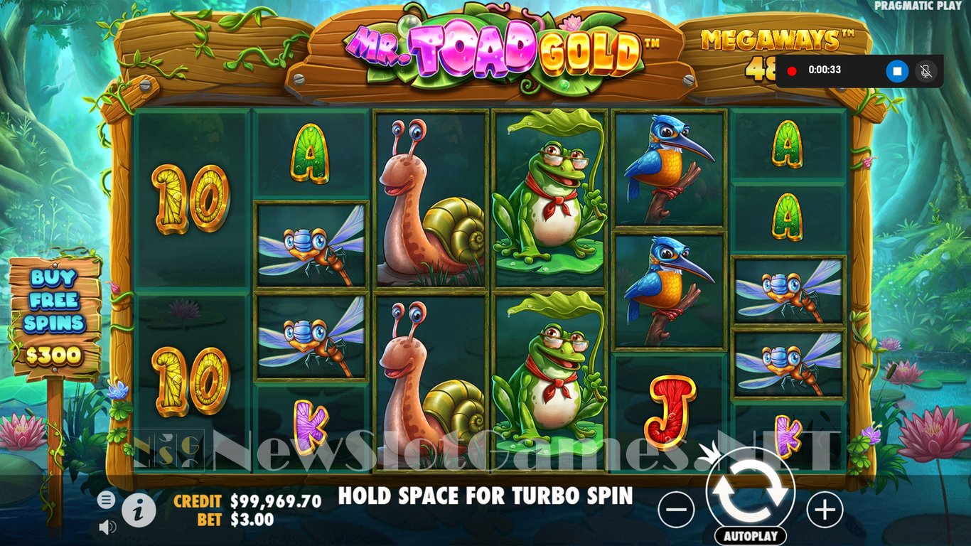 Mr Toad Gold Megaways Slot Slot Image in Demo - pic. 5