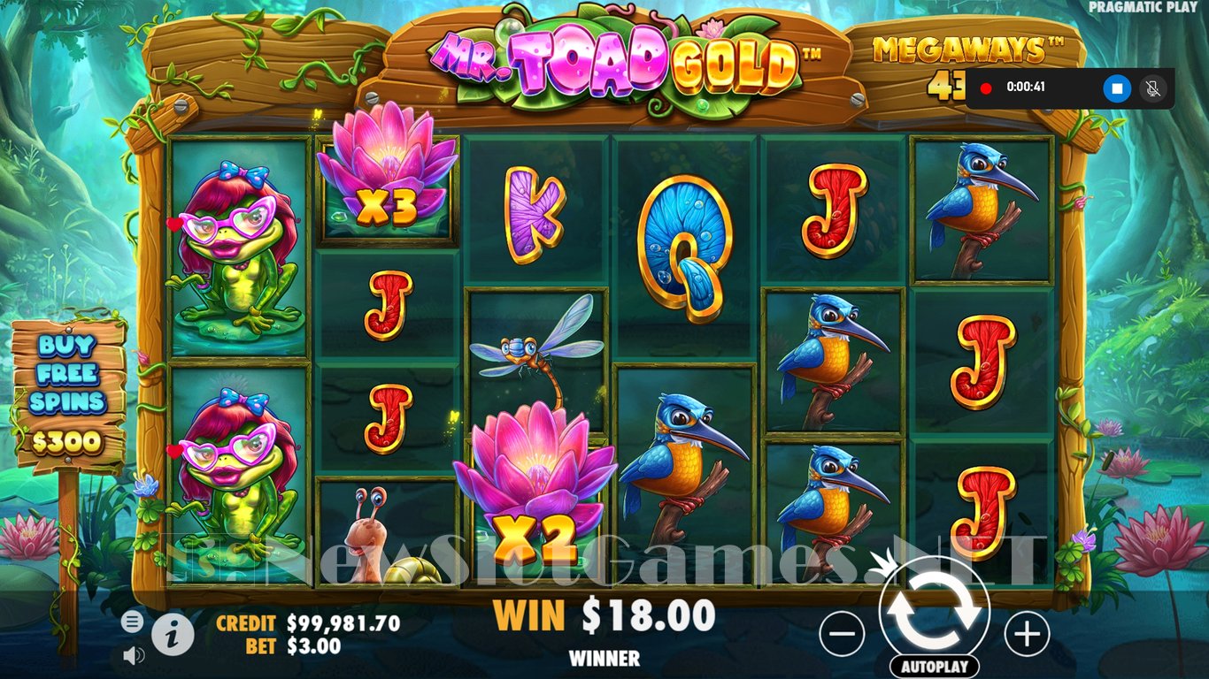 Mr Toad Gold Megaways Slot Slot Image in Demo - pic. 6