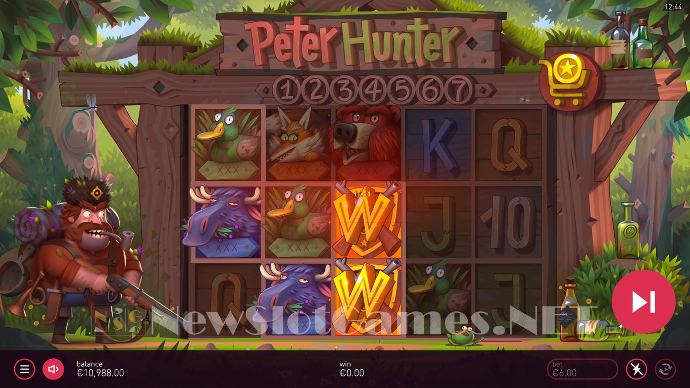 Peter Hunter Slot Slot Image in Demo - pic. 4