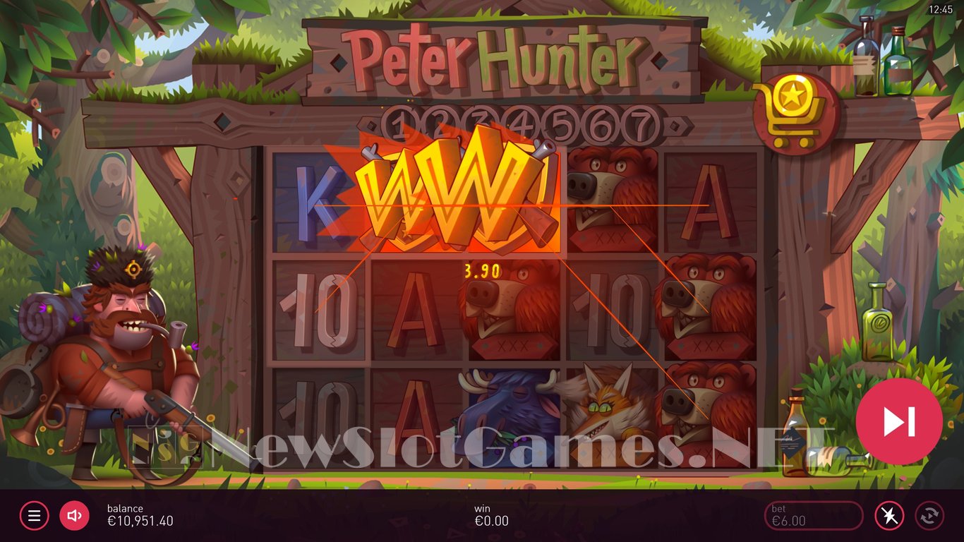 Peter Hunter Slot Slot Image in Demo - pic. 7