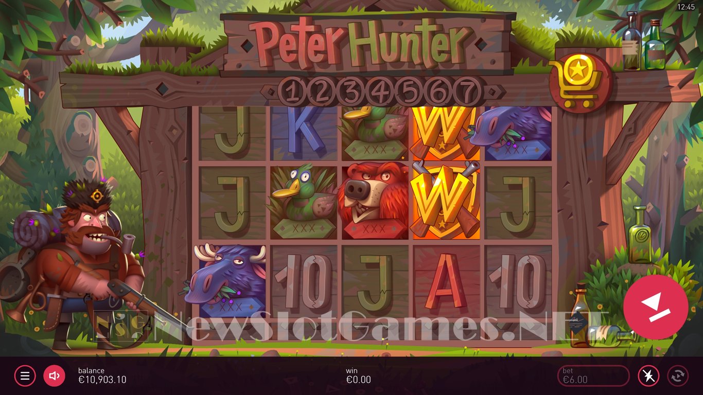 Peter Hunter Slot Slot Image in Demo - pic. 8