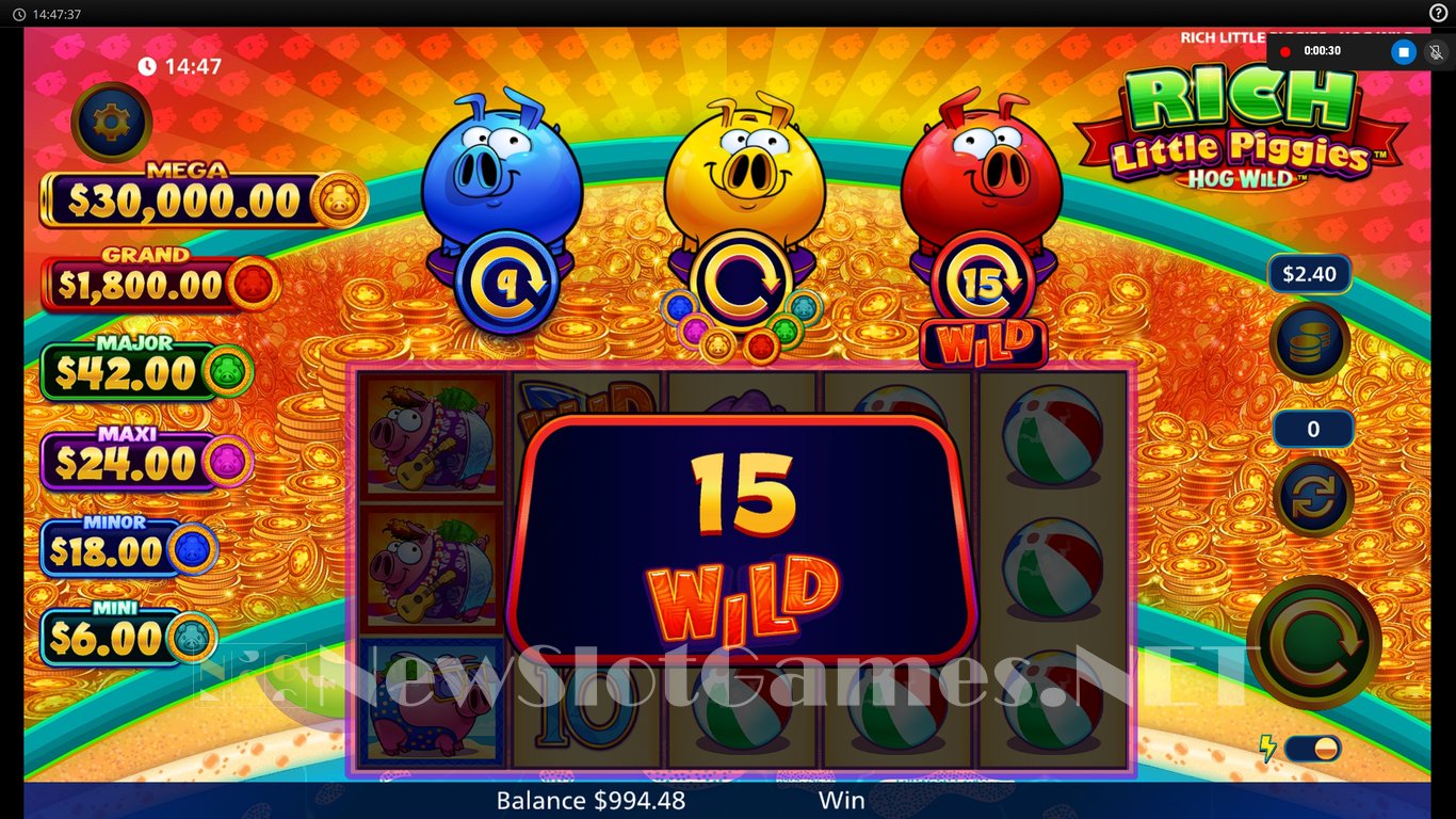 Rich Little Piggies Hog Wild Slot Slot Image in Demo - pic. 4