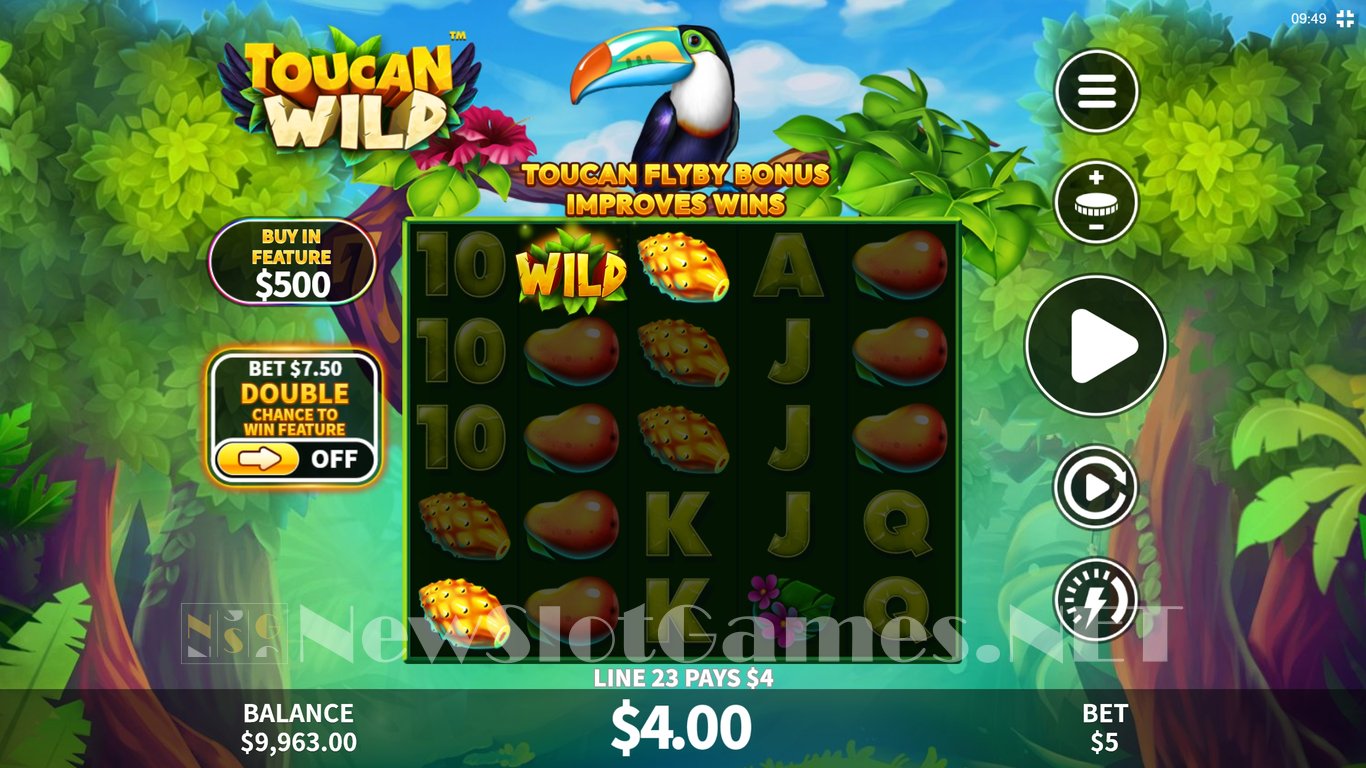 Toucan Wild Slot Slot Image in Demo - pic. 3
