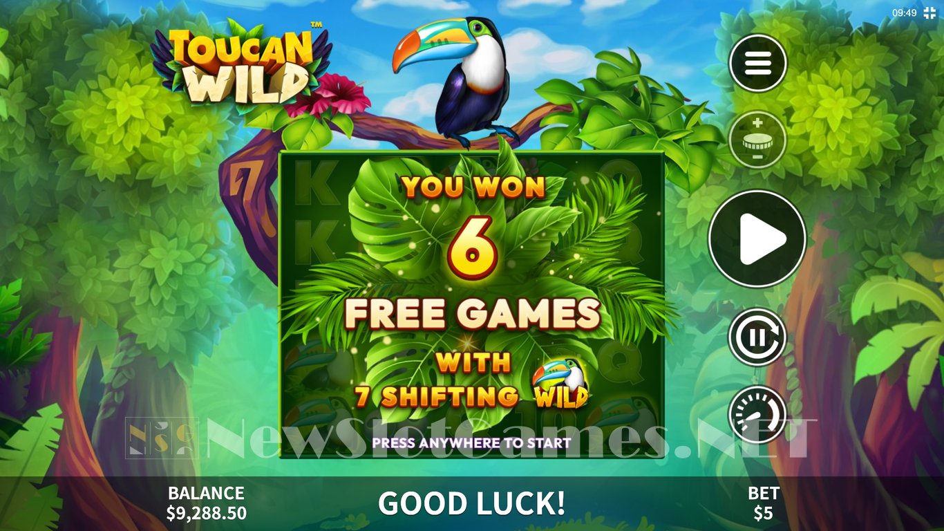 Toucan Wild Slot Slot Image in Demo - pic. 4