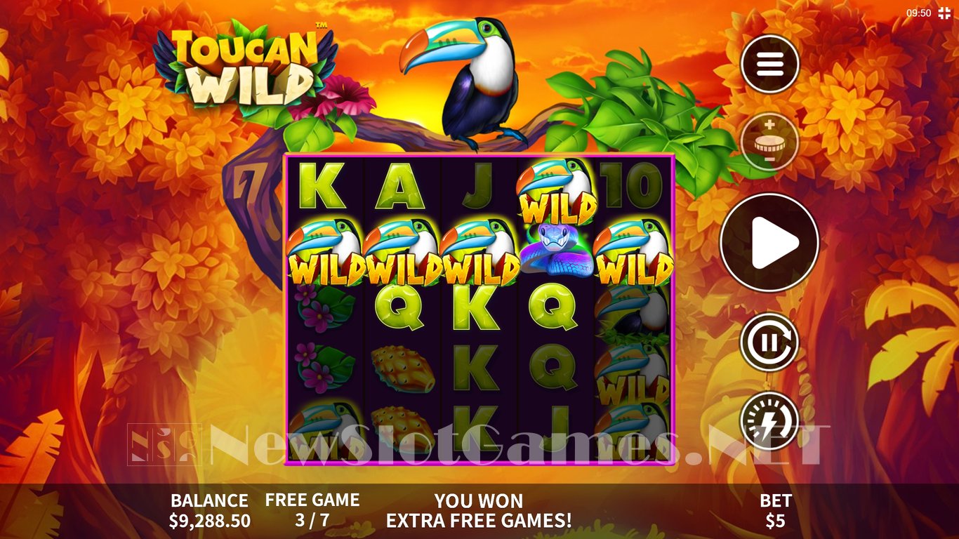 Toucan Wild Slot Slot Image in Demo - pic. 5