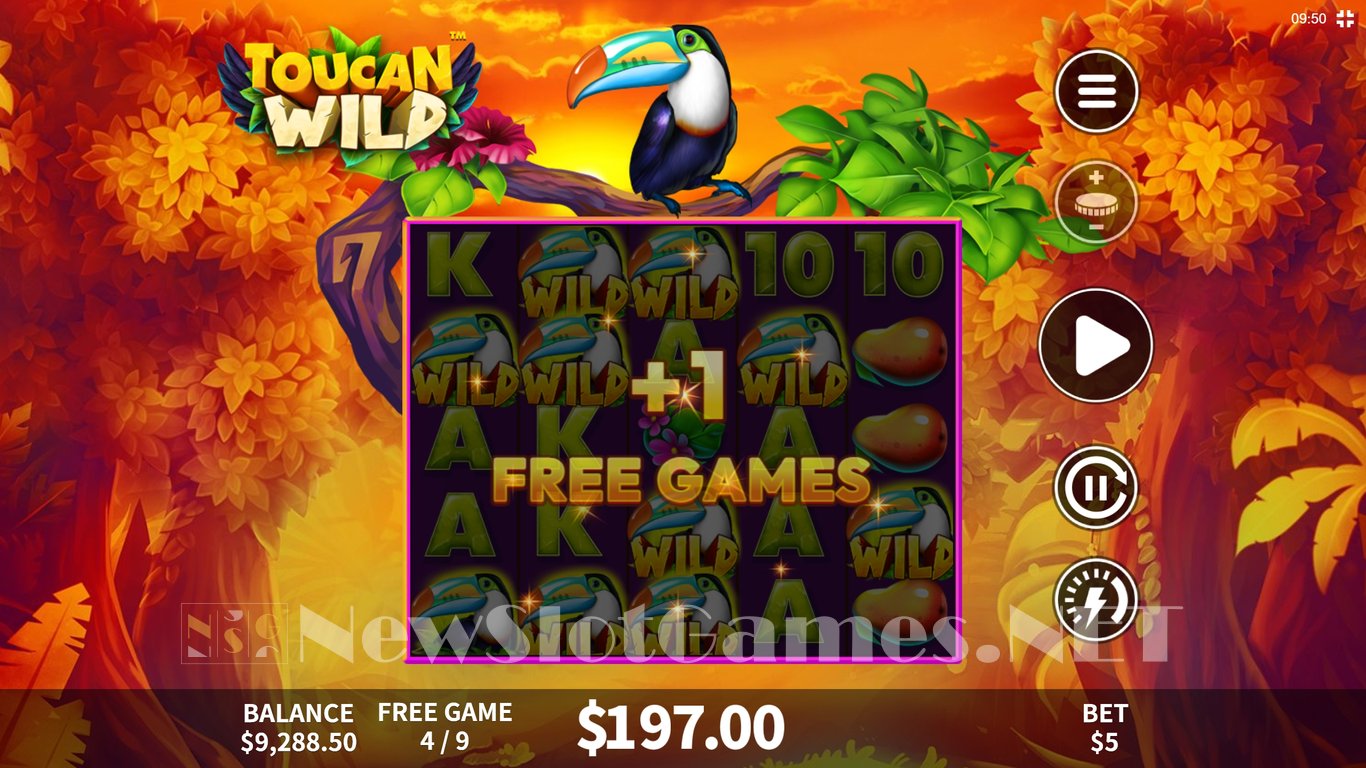 Toucan Wild Slot Slot Image in Demo - pic. 6