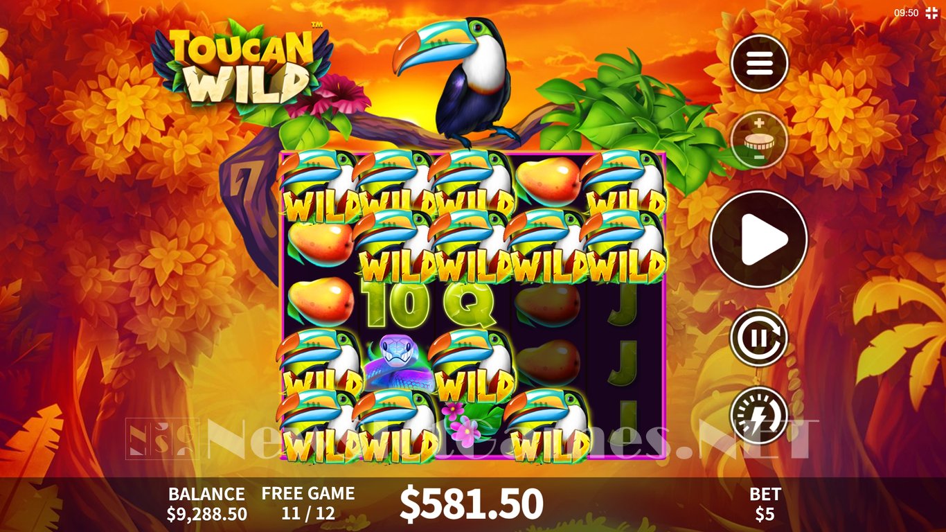 Toucan Wild Slot Slot Image in Demo - pic. 7