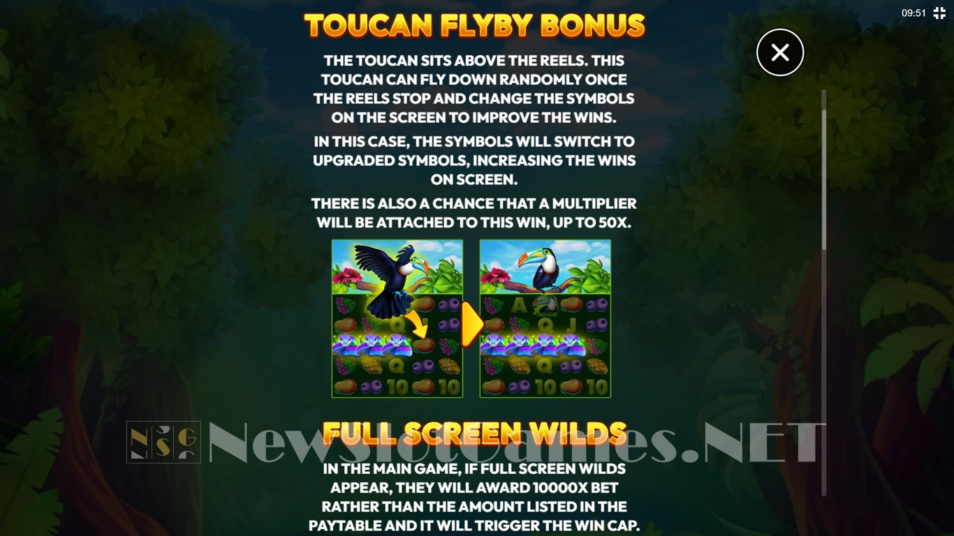 Toucan Wild Slot Slot Image in Demo - pic. 9